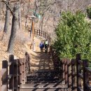 팔용산 등산로 입구 이미지