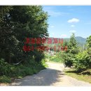 수자원농장 이미지