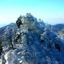 지리산의 아름다운 눈꽃 이미지