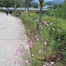 가평설악 이미지