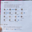 [경기 광주 데이트] 화담숲 2024 가을 단풍축제 후기_241019기준