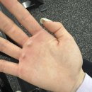 신논현역 1번출구 뒤 | 신논현역 1번출구 1초컷, 강남 대형 헬스장 에이블짐 PT 후기