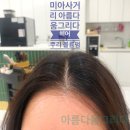 아름다움, 그리다