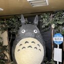 마이주주 | ★오사카★[교토] 주주파파와 함께 떠나는 프라이빗 투어 여행 전 필수! 마이리얼트립 쿠폰, 12...