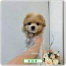 보은메디칼 이미지