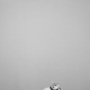 호두데이 이미지