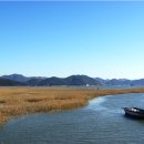 포구와 목선 이미지