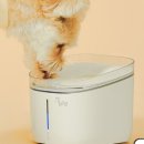 주식회사 페페 이미지