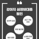 인동동물병원 이미지