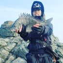 블루오션민박 이미지