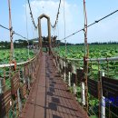 회산백련지 소공원 이미지