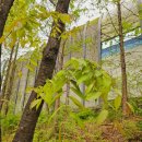 신동근린공원 이미지