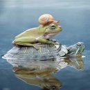 브레멘음악대 이미지