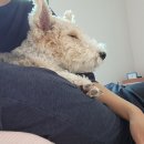 우쿠야제주함덕점 이미지