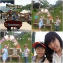 도희목장 이미지