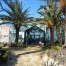 상모리-1 이미지