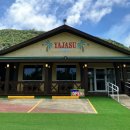 야자수하우스 이미지