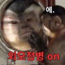 나나뷰티 - 익산시 | 나나뷰티