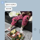 주니청과 이미지