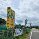 산정논메기매운탕식당 이미지