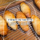 컴포즈커피 파주야당점 | 파주 야당역 빵집 크로아 소금빵 크기에 놀라는 가성비 맛집 포장 후기