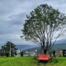 그랜드하브(GRAND HAV) 이미지