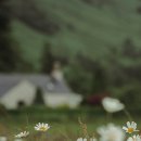 딕트 | 슬로우딕트 마스크팩, 요즘 이것만 쓰는 이유