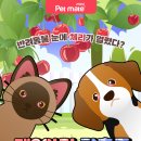 분당-284 이미지