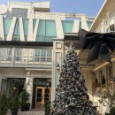 엠 | [서울]압구정 데이트 맛집 빠니드 엠 무니 방문 후기