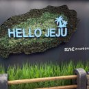 산양1리 | 제주도 애견동반 12월 겨울여행 2박 3일 코스 추천(광고X)