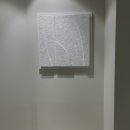 스노우의원 이미지