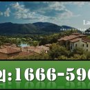 라센트라(La Centra) 이미지