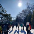 서리풀공원(벗꽃길)~매봉재산(방배공원)~우면산둘레길2024.1.8) 이미지