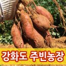 주빈농장 이미지