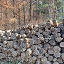 덕동농장 이미지