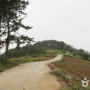 남해-291 이미지