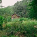 닻미술관 티스토리