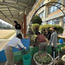 병점초등학교 이미지