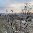 여주-0654 이미지