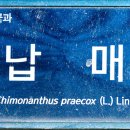인천수목원 이미지