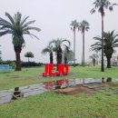 제주메이리조트 이미지