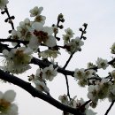 영원을위하여 이미지