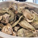 덕수하루 | 거제도 맛집 덕수가에서 즐긴 굴구이 코스 제대로 먹고 온 후기