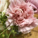 명지압안마원 이미지