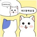 청산별곡