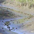 자전거쉼터 (3개소) 이미지