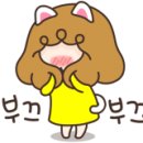 순흥애꽃 이미지