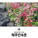 제주민속촌 이미지