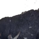 울릉도바닷가 상일펜션 이미지