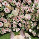 오늘도 힘차개 이미지